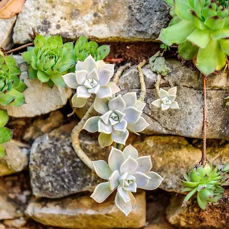 Mediteraneo Appartamento Zaboric