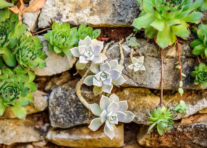 Mediteraneo Apartment Zaboric